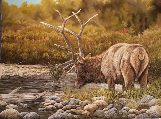 Battle Proven, Elk 18x24 $2500 at Hunter Wolff Gallery